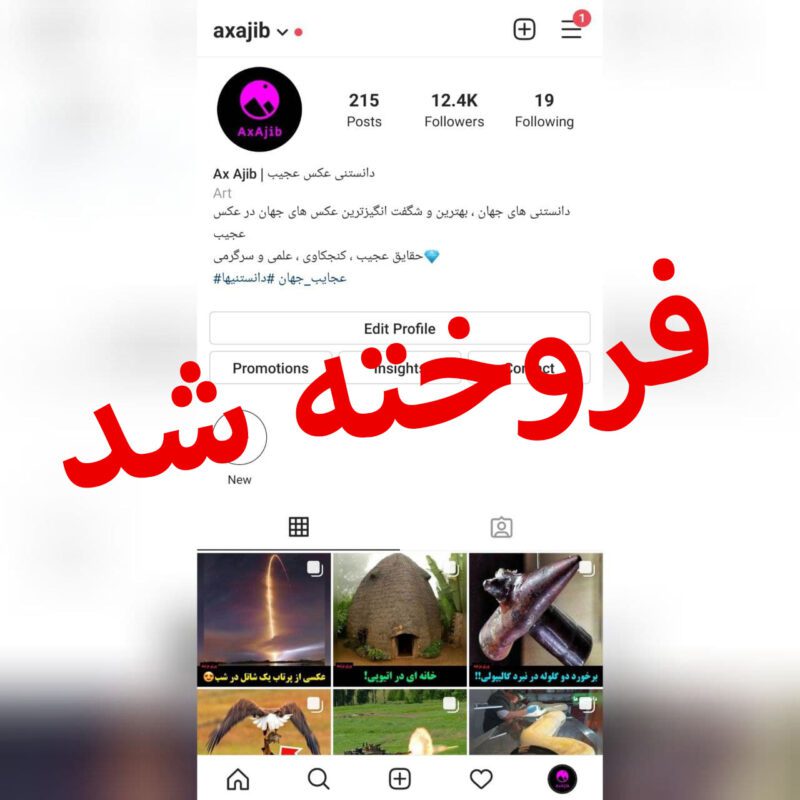 قیمت و خرید پیج اینستاگرام آماده با 10000 هزار فالوور follower 10k با کیفیت با موضوعات مختلف بهمراه ایمیل اولیه فالور واقعی نیمه فعال - تصویر 5