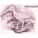 دانلود طرح معرق کاری لک لک حرفه‌ و فن کار دستی فنی و حرفه ای