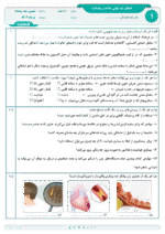 دانلود آزمون نوبت دوم هماهنگ کشوری سلامت و بهداشت پایه دوازدهم کلیه رشته‌ها با پاسخنامه تشریحی - تصویر 2