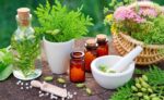 خرید و دانلود طرح توجیهی احداث گلخانه پرورش گیاهان دارویی | فرصت سرمایهگذاری در صنعت کشاورزی و داروسازی طبیعی