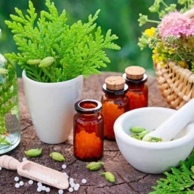 خرید و دانلود طرح توجیهی احداث گلخانه پرورش گیاهان دارویی | فرصت سرمایهگذاری در صنعت کشاورزی و داروسازی طبیعی