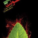 خرید و دانلود نسخه کامل کتاب خشونت اثر لارنس کین و کریس وایلدر