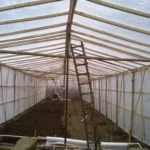 خرید و دانلود  طرح توجیهی احداث مجتمع گلخانه ای | فرصت سرمایه‌گذاری در صنعت کشاورزی