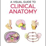 A Visual Guide to Clinical Anatomy [2020]