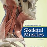 خرید و دانلود کتاب An Illustrated Atlas of the Skeletal Muscles (4th Edition)