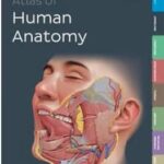 خرید و دانلود کتاب Kenhub Atlas of Human Anatomy