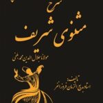 خرید و دانلود نسخه کامل کتاب شرح مثنوی شریف (جلد اول) اثر بدیع الزمان فروزانفر و مولانا جلال‌الدین محمد بلخی مولوی