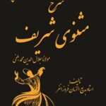 خرید و دانلود نسخه کامل کتاب شرح مثنوی شریف (جلد سوم) اثر مولانا جلال‌الدین محمد بلخی مولوی و بدیع الزمان فروزانفر 