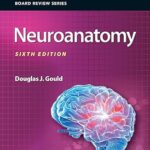 خرید و دانلود کتاب BRS Neuroanatomy (Board Review Series) 6th Edition