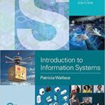 خرید و دانلود کتاب Introduction to Information Systems: People, Technology and Processes
