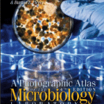 خرید و دانلود نسخه کامل کتاب A Photographic Atlas for the Microbiology LABORATORY 4th EDITION –  PDF
