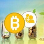 خرید و دانلود نسخه کامل کتاب Bitcoin Blueprint – Your Guide to Earn Bitcoin and Referrals