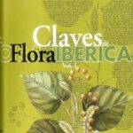 خرید و دانلود نسخه کامل کتاب Claves de flora iberica : plantas vasculares de la PenAinsula IbAerica e Islas Baleares –  PDF