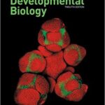 خرید و دانلود نسخه کامل کتاب Developmental Biology (12th Edition)