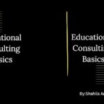 خرید و دانلود نسخه کامل کتاب Educational Consulting Basics –  +  Pdf