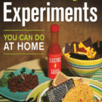 خرید و دانلود نسخه کامل کتاب Electricity Experiments You Can Do At Home –  PDF