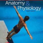 خرید و دانلود نسخه کامل کتاب Essentials of Anatomy and Physiology ISE –  PDF