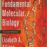 خرید و دانلود نسخه کامل کتاب Fundamental Molecular Biology 2nd Edition