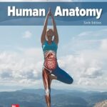 خرید و دانلود نسخه کامل کتاب ISE Human Anatomy –  PDF