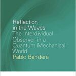 خرید و دانلود نسخه کامل کتاب Reflection in the Waves:  The Interdividual Observer in a Quantum Mechanical World (Breakthroughs in Mimetic Theory)