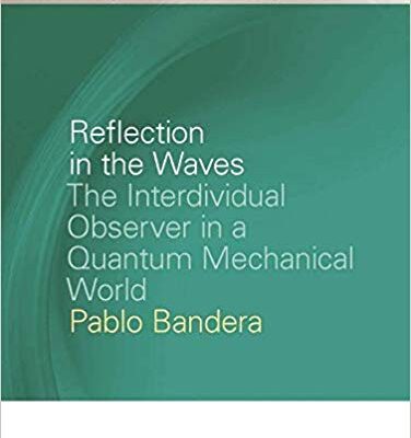 خرید و دانلود نسخه کامل کتاب Reflection in the Waves: The Interdividual Observer in a Quantum Mechanical World (Breakthroughs in Mimetic Theory)