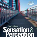 خرید و دانلود نسخه کامل کتاب Sensation and Perception (3rd Edition) BY Schwartz –  +  Pdf