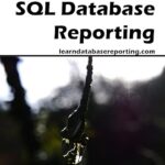 خرید و دانلود نسخه کامل کتاب SQL Database Reporting (Skills Today) –  Pdf