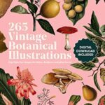 خرید و دانلود نسخه کامل کتاب Vintage Botanical Illustration: Copyright-Free s for Artists, Designers and Plant Lovers –  +  pdf