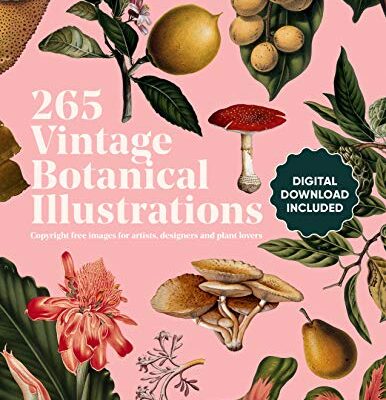 خرید و دانلود نسخه کامل کتاب Vintage Botanical Illustration: Copyright-Free s for Artists, Designers and Plant Lovers –  +  pdf