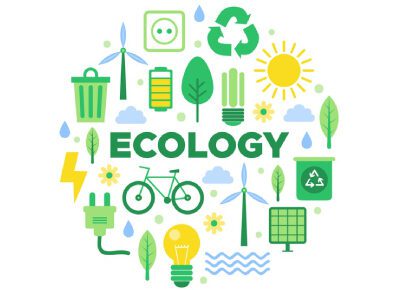 اکولوژی-عمومی-e1612505532112 دانلود و خرید جزوه درس اکولوژی عمومی - تصویر 1