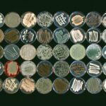 دانلود و خرید جزوه درس آزمایشگاه مبانی اکولوژی دریا