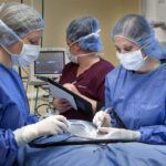 دانلود و خرید جزوه درس اصول جراحی دامپزشکی