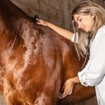 دانلود و خرید جزوه درس بیماری های داخلی دام بزرگ۲