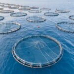 دانلود و خرید جزوه درس تکثیر و پرورش ماهی (رشته دامپزشکی)