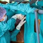 خرید و دانلود جزوه درس جراحی عمومی دام بزرگ