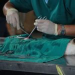 دانلود و خرید جزوه درس جراحی عمومی دام کوچک