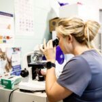 دانلود و خرید جزوه درس کلینیکال پاتولوژی دامپزشکی