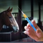 دانلود و خرید جزوه دوپینگ و مخدر در دامها