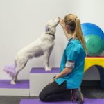 خرید و دانلود جزوه لیزرتراپی و فیزیوتراپی حیوانات خانگی