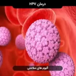 خرید و دانلود فایل پاکسازی ویروس hpv از بدن ( درمان اچ پی وی )