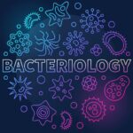 دانلود و خرید جزوه درس باکتری شناسی عمومی