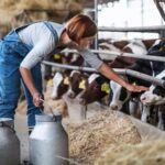 دانلود و خرید جزوه درس بهداشت و صنایع شیر