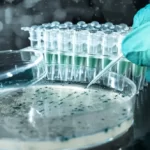 دانلود و خرید جزوه فعالیتهای آزمایشگاه میکروبی در شرکتهای داروسازی