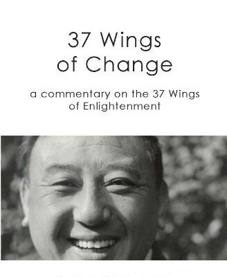 خرید و دانلود نسخه کامل کتاب 37 Wings of Change  –  +  pdf