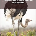 خرید و دانلود نسخه کامل کتاب A BEGINNER’S GUIDE TO RABBITS, TURKEY AND OSTRICH FARMING (Farm management) –  +  PDF