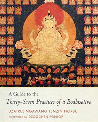 خرید و دانلود نسخه کامل کتاب A Guide to the Thirty-Seven Practices of a Bodhisattva  [2020] –  +  pdf