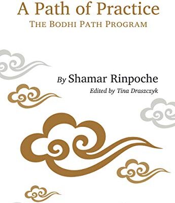خرید و دانلود نسخه کامل کتاب A Path of Practice: The Bodhi Path Program –  +  pdf