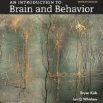 خرید و دانلود نسخه کامل کتاب An Introduction to Brain and Behavior (7th Edition) –  +  Pdf