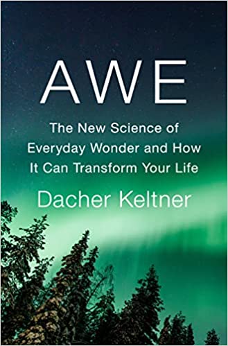 خرید و دانلود نسخه کامل کتاب Awe: The New Science of Everyday Wonder and How It Can Transform Your Life – + Pdf_6845f18cd28aa.jpeg خرید و دانلود نسخه کامل کتاب Awe: The New Science of Everyday Wonder and How It Can Transform Your Life – + Pdf