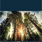 خرید و دانلود نسخه کامل کتاب Becoming a Learner:  Realizing the Opportunity of Education (2nd edition )